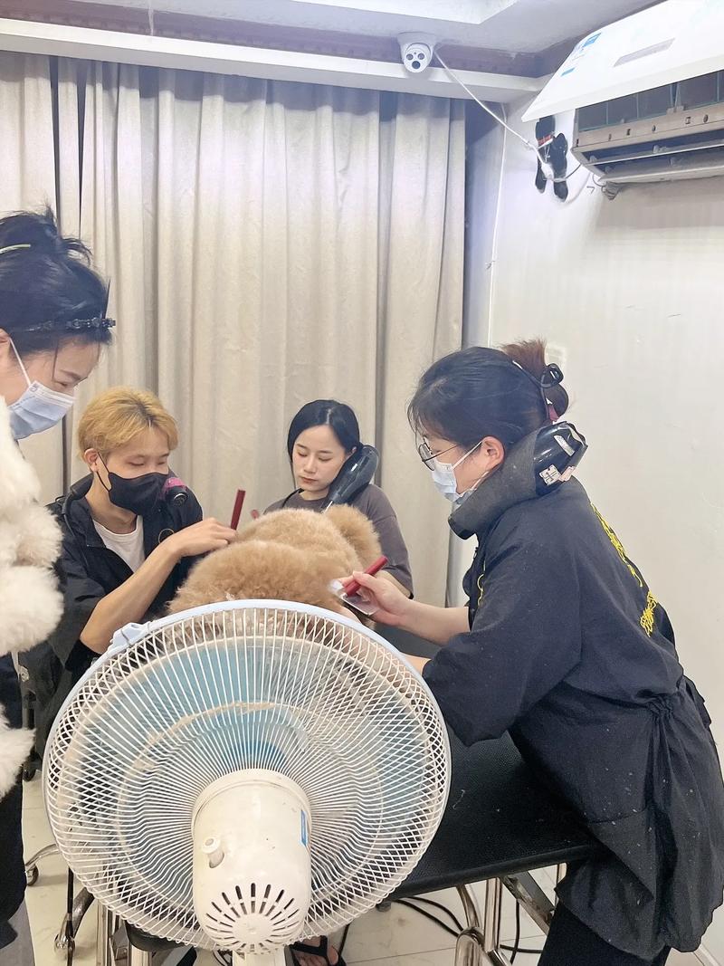 [偷笑] 今天撸一个大宝贝今天的团宠巨贵宝