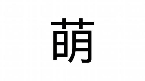 减肥的柱子的微博